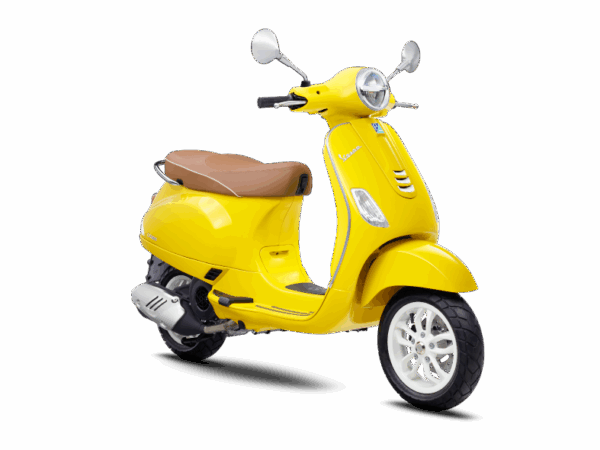yellow-curioso-04 (3)