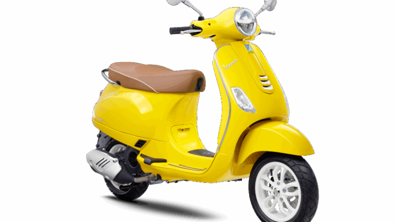 yellow-curioso-04 (3)